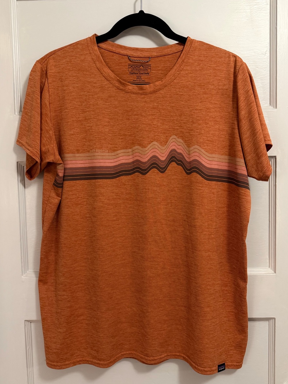 Patagonia Women’s XL Capilene Cool Daily Graphic Hiking Shirt